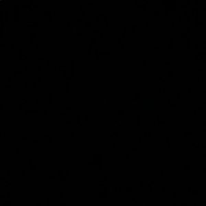 Meet your Posher, Vin